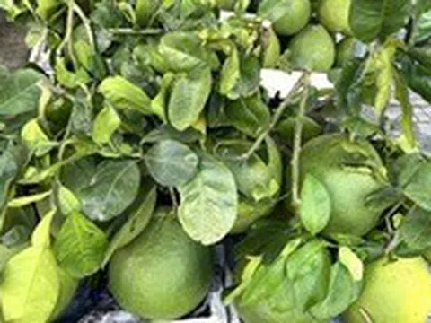 Ăn gì để có một làn da đẹp?