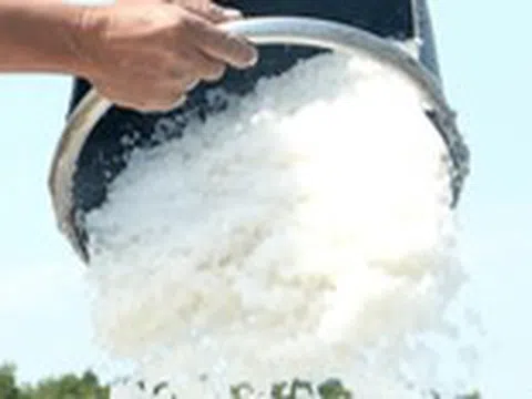 Cách dùng muối ăn chữa nhiều bệnh