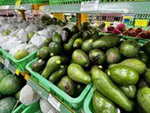 Bơ là loại trái cây giúp giữ dáng, đẹp da nhưng ai không nên ăn?