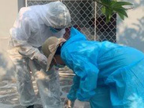 Nhiều người bị ‘côn trùng lạ’ xuất hiện ở vườn rau đốt gây ngứa, mẩn đỏ