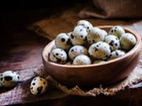 Trứng cút 'quen mà lạ': Bài thuốc bổ não và trị sinh lý yếu