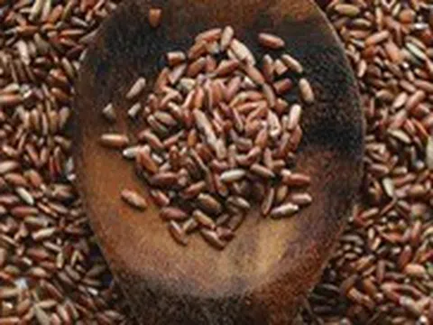 Gạo lứt rất tốt cho sức khỏe, nhưng ăn nhiều sẽ gây hại ra sao?