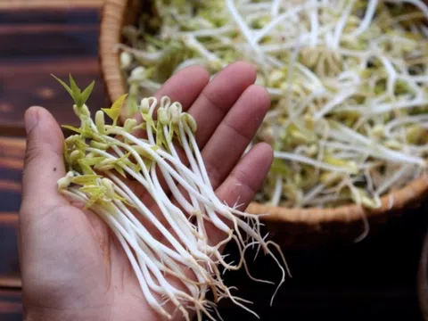 Những người không nên ăn giá đỗ