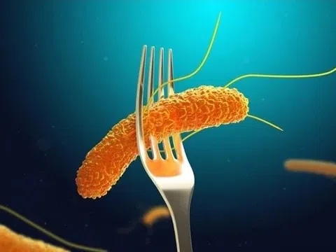 Tác nhân gây ngộ độc thực phẩm số một