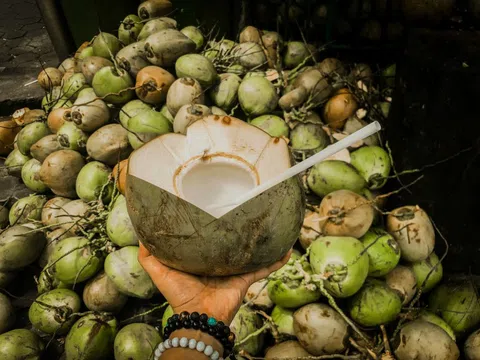 Sốt xuất huyết không được uống nước dừa?
