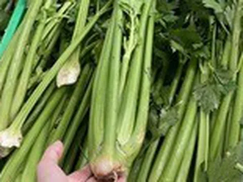 Không chỉ làm đẹp, cần tây hỗ trợ chữa nhiều bệnh nhưng 'tối kỵ' với ai?
