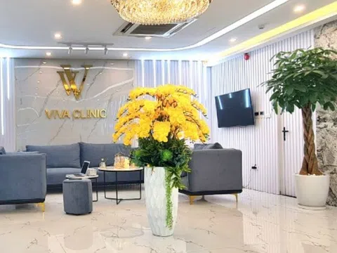 Đình chỉ hoạt động Thẩm Mỹ Quốc Tế VIVA Phú Nhuận và Thẩm mỹ Chu