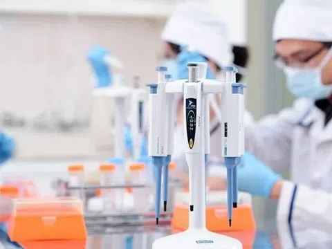 Thấy em gái không giống bố, chị âm thầm xét nghiệm ADN