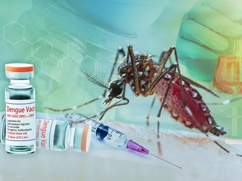 Vaccine sốt xuất huyết chính thức được cấp phép tại Việt Nam