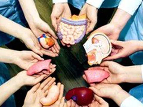 Đăng ký hiến mô tạng, ‘đừng để nguồn sống chôn vùi dưới lòng đất’