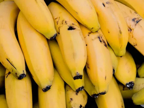 Cách dùng chuối tiêu trị bệnh đường tiêu hóa