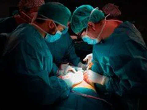 Nhiều người thay đổi tính cách kỳ lạ sau ghép tạng, khoa học tìm cách giải thích