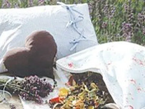 Cho thuốc vào gối để gối đầu trị bệnh, nhiều công dụng độc đáo