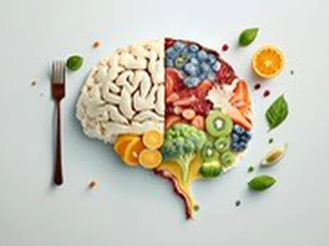 Chất dinh dưỡng nào làm chậm quá trình lão hóa não?