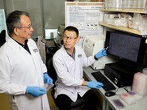 Phát hiện một cách trị ung thư không cần dùng thuốc