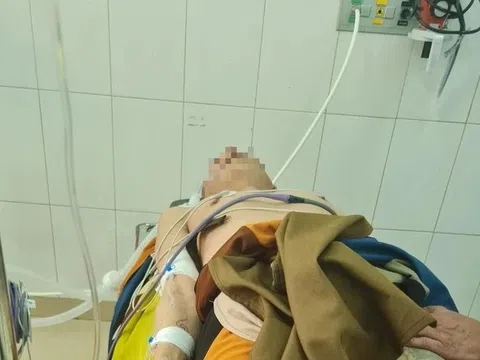 Một người đi theo ông Thích Minh Tuệ bị sốc nhiệt, tử vong