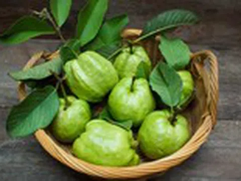 Ổi rất giàu dinh dưỡng, nhưng phải biết ăn đúng cách