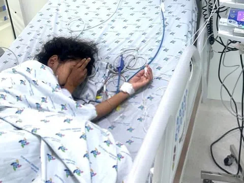 Bé gái bị ong vò vẽ đốt 53 mũi