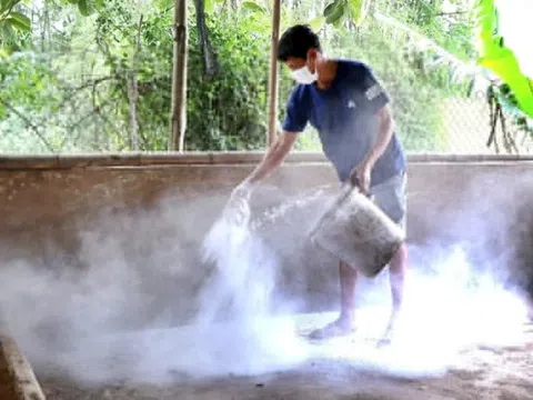 Thủ tướng chỉ đạo tập trung phòng, chống dịch bệnh gia súc, gia cầm