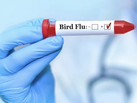 Nơi đầu tiên trên thế giới tiêm vaccine cúm gia cầm cho người