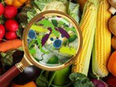 Nắng nóng, thực phẩm nào dễ bị nhiễm khuẩn nhất?