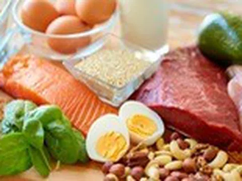 Tại sao protein quan trọng trong việc giảm cân?