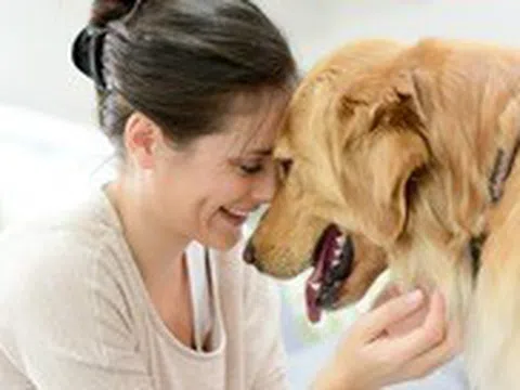 Vượt qua đau buồn và trầm cảm khi mất thú cưng