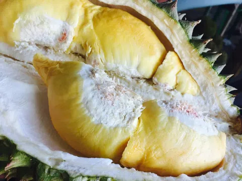 Những người nên kiêng ăn sầu riêng