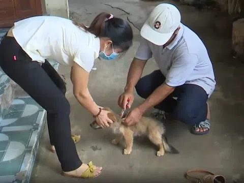 Đồng Nai tăng cường giải pháp phòng, chống dịch bệnh