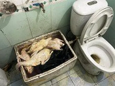 Xôn xao hình ảnh quán vịt quay để vịt ướp trong nhà vệ sinh, kế bồn cầu