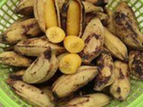 Lợi ích không ngờ của chuối luộc đối với sức khỏe