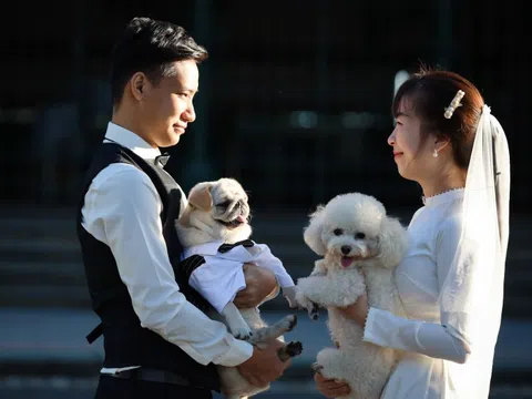 Mất cân bằng giới tính, nhiều đàn ông Việt Nam nguy cơ ế vợ