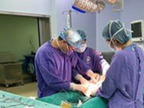 Không có tinh hoàn vẫn sinh con