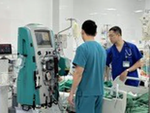 Bị ong đốt khiến bé gái sốc phản vệ nguy kịch