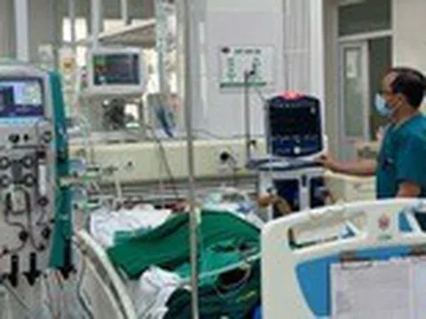 Mua thủ lợn sống về làm món ăn, bị nhiễm khuẩn huyết nguy kịch
