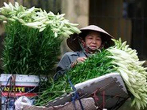 Thích ứng với già hóa dân số ra sao?