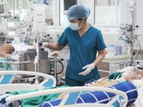 Một giáo viên ở Hải Phòng tử vong sau khi mắc sốt xuất huyết tại Hà Nội