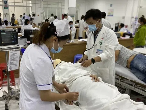 Một người bị cây gãy ở Công viên Tao Đàn đè lún sọ