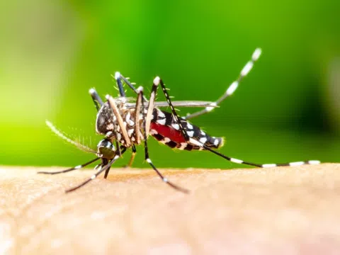 Diễn biến dịch sốt xuất huyết tại Hà Nội tuần qua