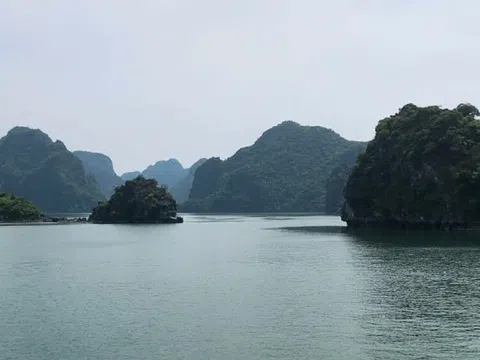 Hủy nhiều tour du thuyền đêm trên vịnh Hạ Long, Lan Hạ vì bão