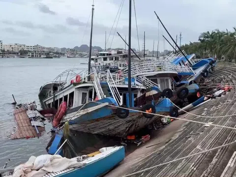Hơn 20 tàu du lịch Hạ Long chìm vì bão Yagi