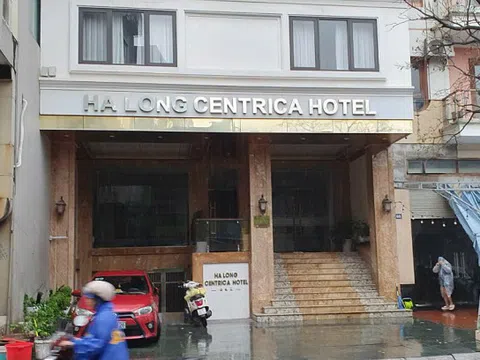 Tàu du lịch, khách sạn Hạ Long 'mất sức' sau bão