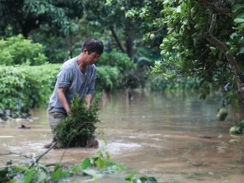 Bộ Y tế hướng dẫn xử lý nguồn nước sau bão