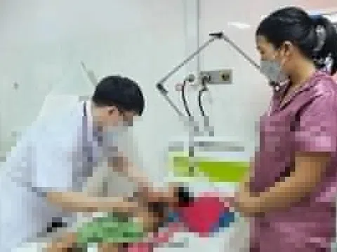Nguyên nhân, triệu chứng, cách điều trị viêm não Nhật Bản
