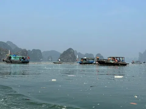 Hàng trăm người dọn dẹp vịnh Hạ Long sau bão