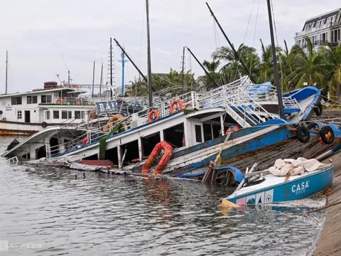 Du thuyền Hạ Long tổn thất vì bão Yagi 'nặng hơn Covid'