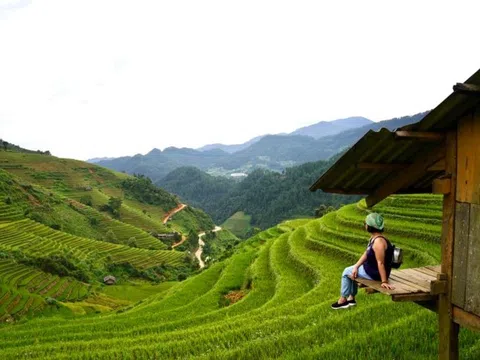 4 điểm đến ngắm thu ở Việt Nam