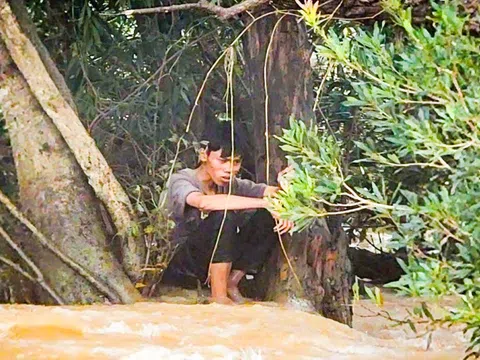Bác sĩ nói gì về khả năng sinh tồn liên quan vụ thanh niên bị kẹt lũ 9 ngày?