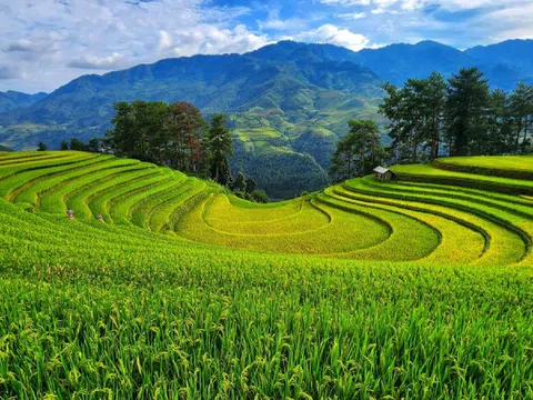 10 điểm check in ở Mù Cang Chải mùa lúa chín