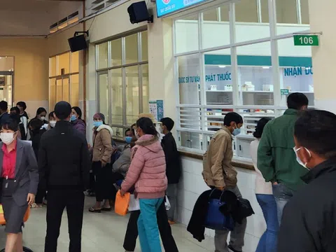 Đà Lạt không còn là nơi chưa từng có sốt xuất huyết